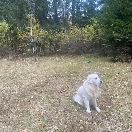 Apartamento útulná Maringotka V Srdci šumavy *